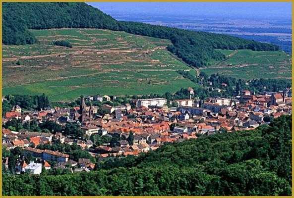 Apartment Avec Terrasse Entre Vignes, Balades, Alsace Guebwiller