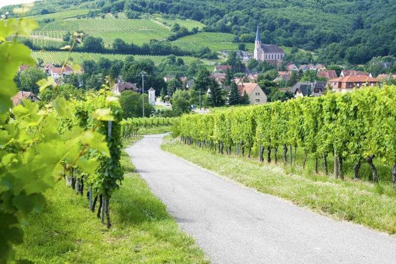 Apartment Avec Terrasse Entre Vignes, Balades, Alsace Guebwiller
